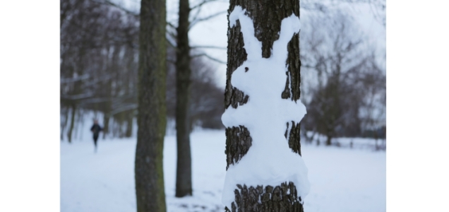 H&auml;schen am Baum